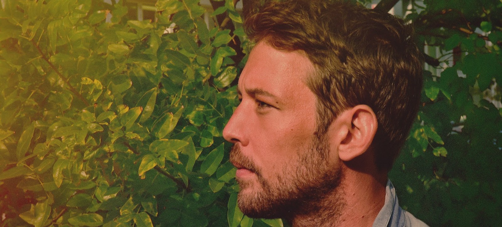 Fleet Foxes